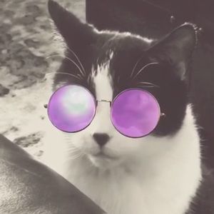 Meet your Posher, Mackenzie